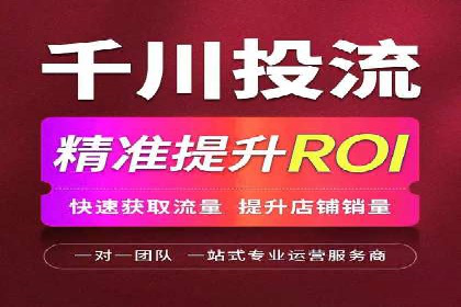 百度竞价代理技巧：经典成功案例解析